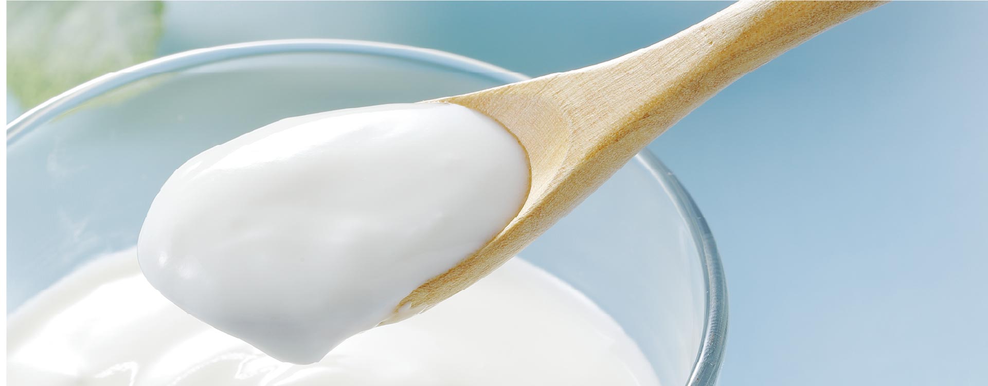 Foodmate Yogurt