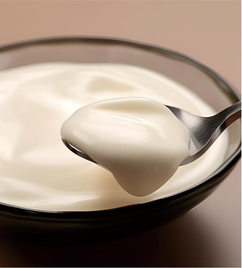 Foodmate Yogurt