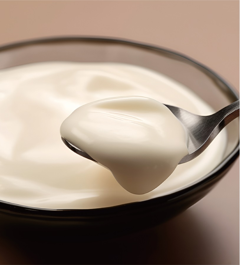 foodmate gelatin for yogurt/cheese/dairy products