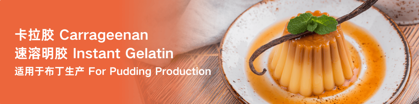 Pudding Solutions